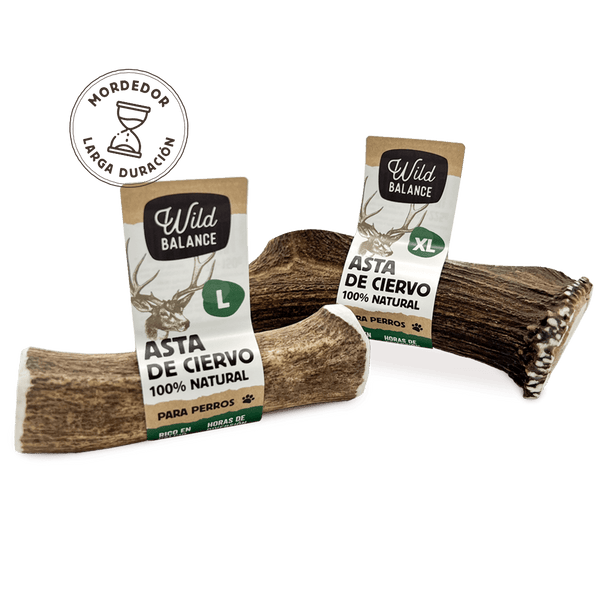 prueba-Wild Balance