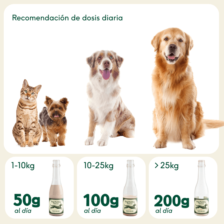Kéfir natural para perros y gatos
