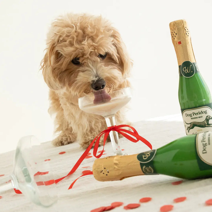 Kéfir natural para perros y gatos