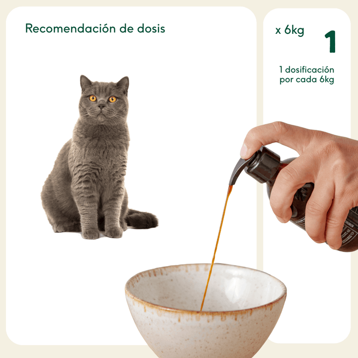 Aceite natural de salmón noruego-Wild Balance