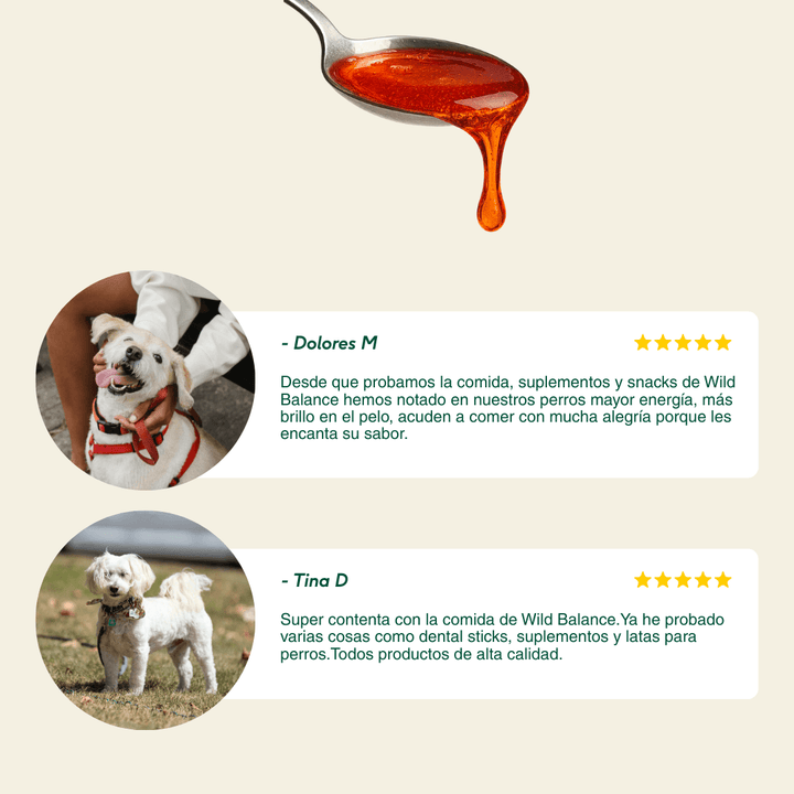 Aceite natural de salmón noruego-Wild Balance