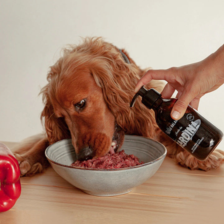 Aceite natural de sardina-Wild Balance