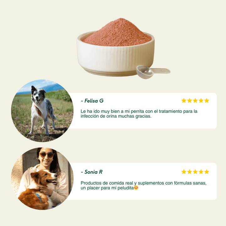 BIENESTAR URINARIO Suplemento para prevenir las infecciones de orina-Wild Balance