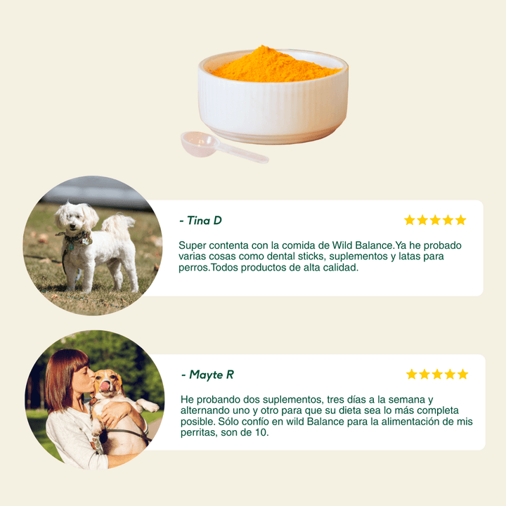 Cúrcuma para Golden Paste-Wild Balance