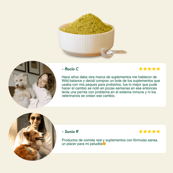 DIGESTIONES FIRMES Prebiótico regulador problemas intestinales-Wild Balance