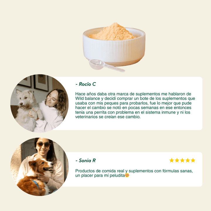 Cáscara de Escaramujo en polvo-Wild Balance