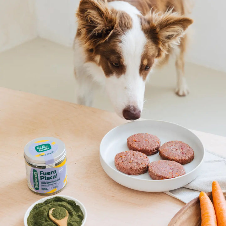 FUERA PLACA! Suplemento para eliminar el sarro y el mal aliento-Wild Balance