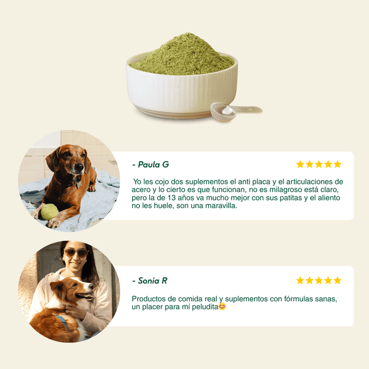 FUERA PLACA! Suplemento para eliminar el sarro y el mal aliento-Wild Balance