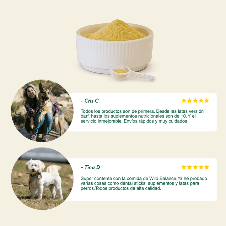 Mejillón de labio verde liofilizado-Wild Balance