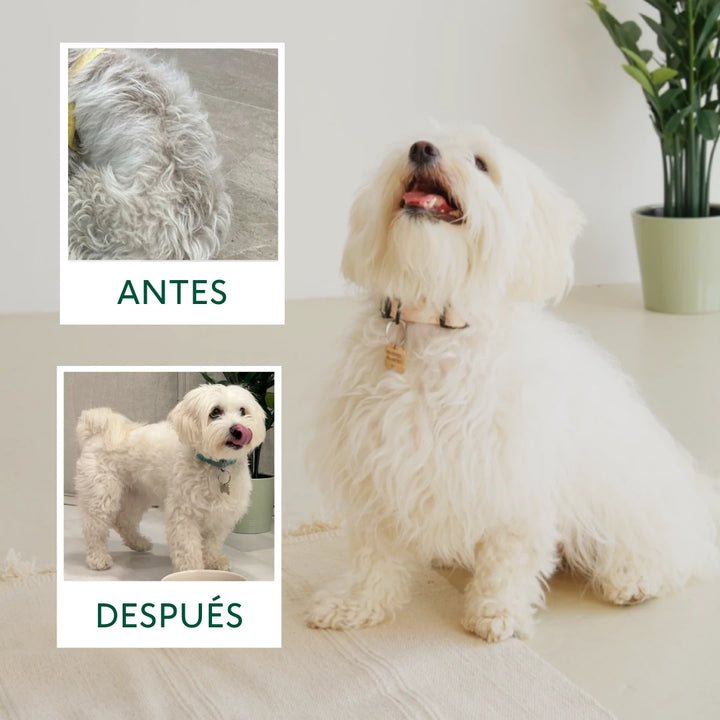 PELAJE BRUTAL Suplemento para la salud de la piel y el pelo-Wild Balance