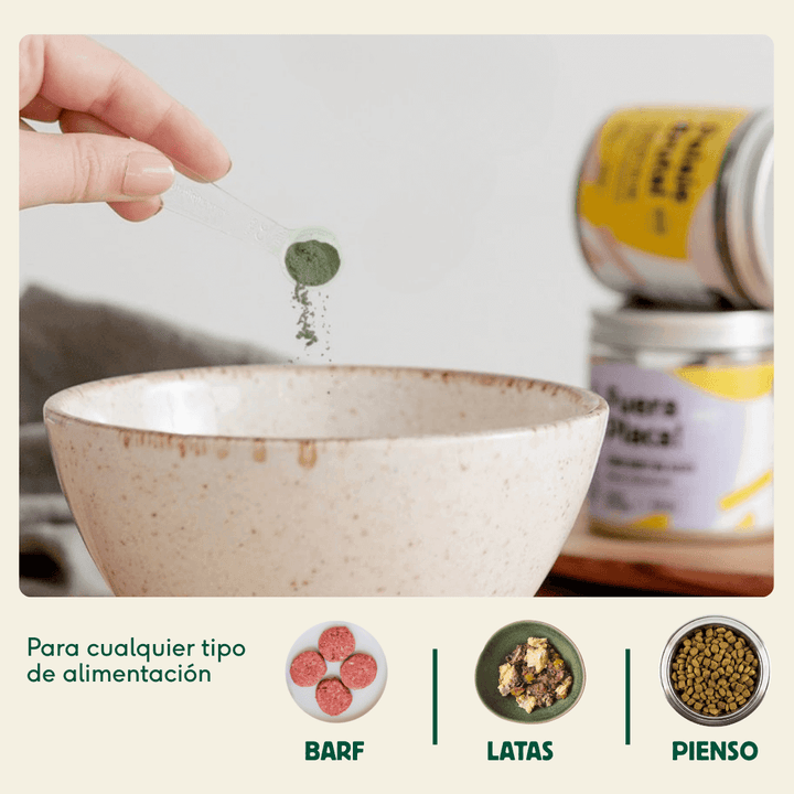 Suplemento natural para todo tipo de comida