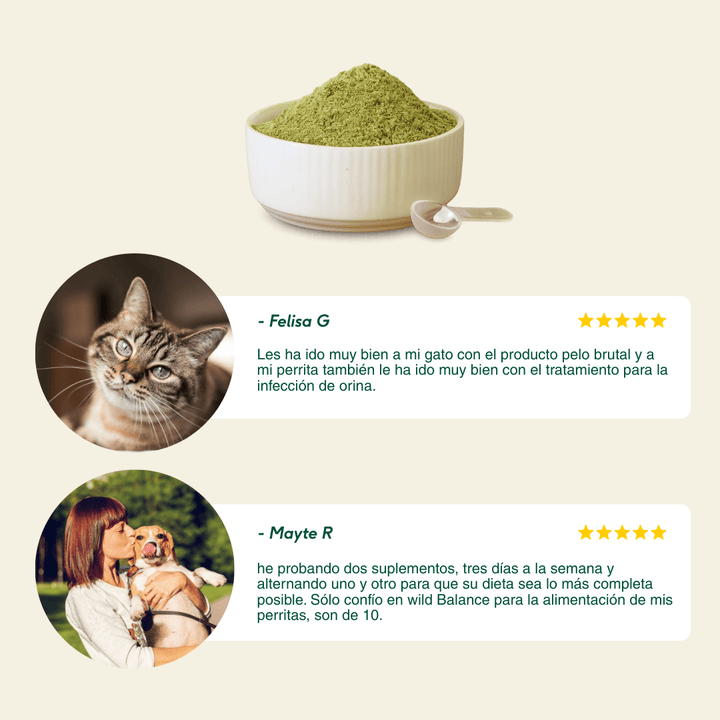 PELAJE BRUTAL Suplemento para la salud de la piel y el pelo-Wild Balance