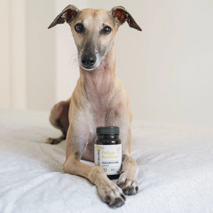 PELAJE RADIANTE Cápsulas Omega 3 de aceite de pescado-Wild Balance