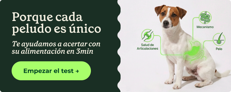 Comida natural para perros