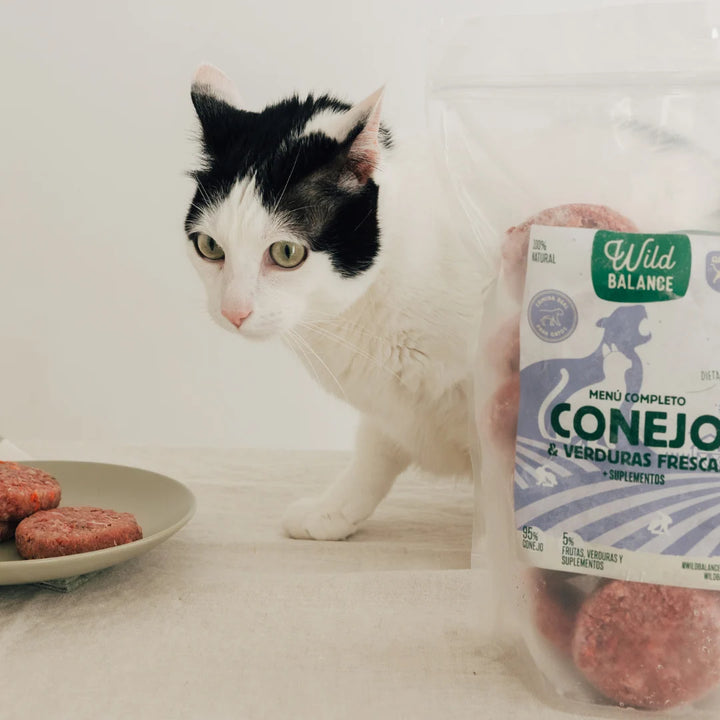menú barf de conejo para gatos