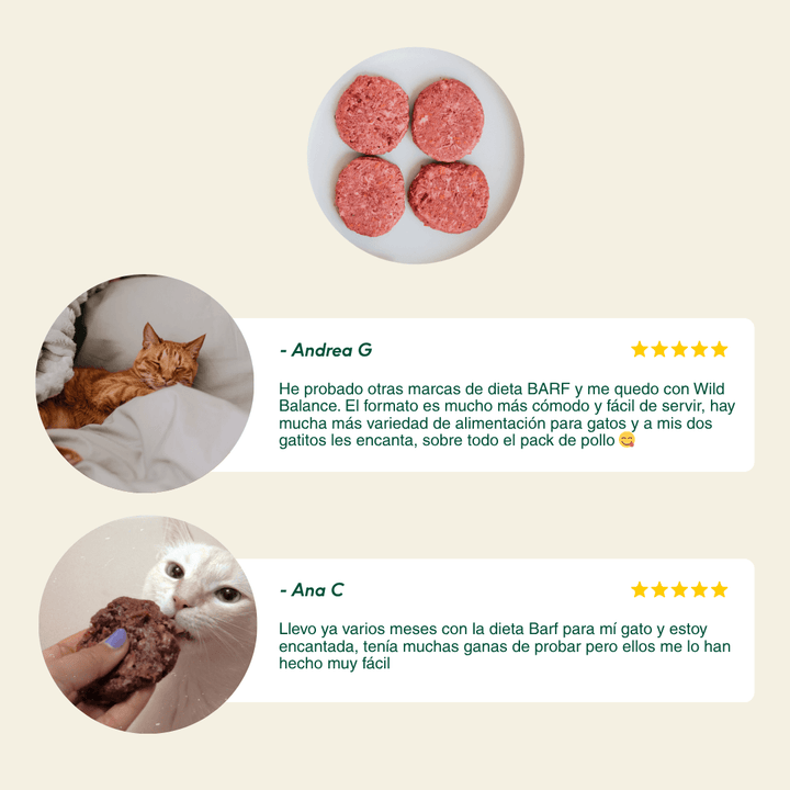 menú barf de conejo para gatos