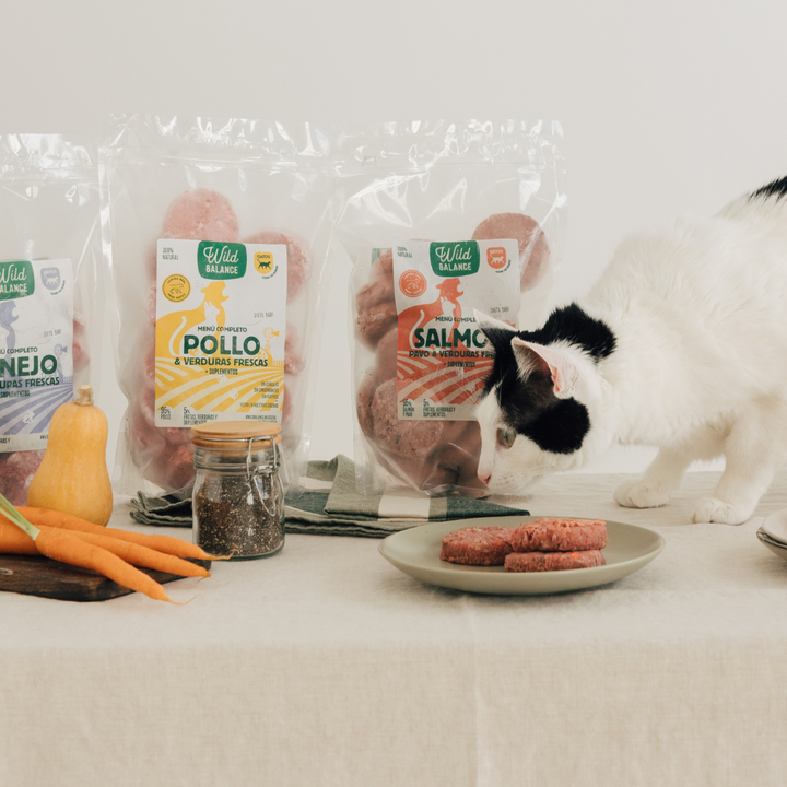 menú BARF de pollo con verduras para gatos