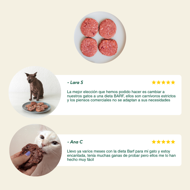 menú BARF de pollo con verduras para gatos