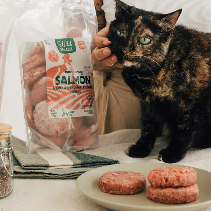menú barf de salmón y pavo para gatos