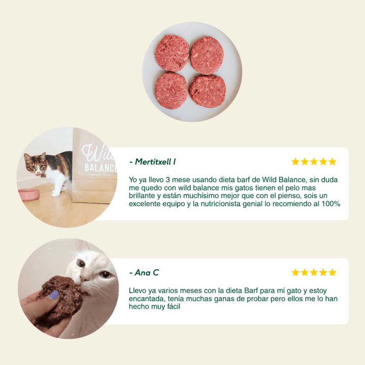 menú barf de salmón y pavo para gatos