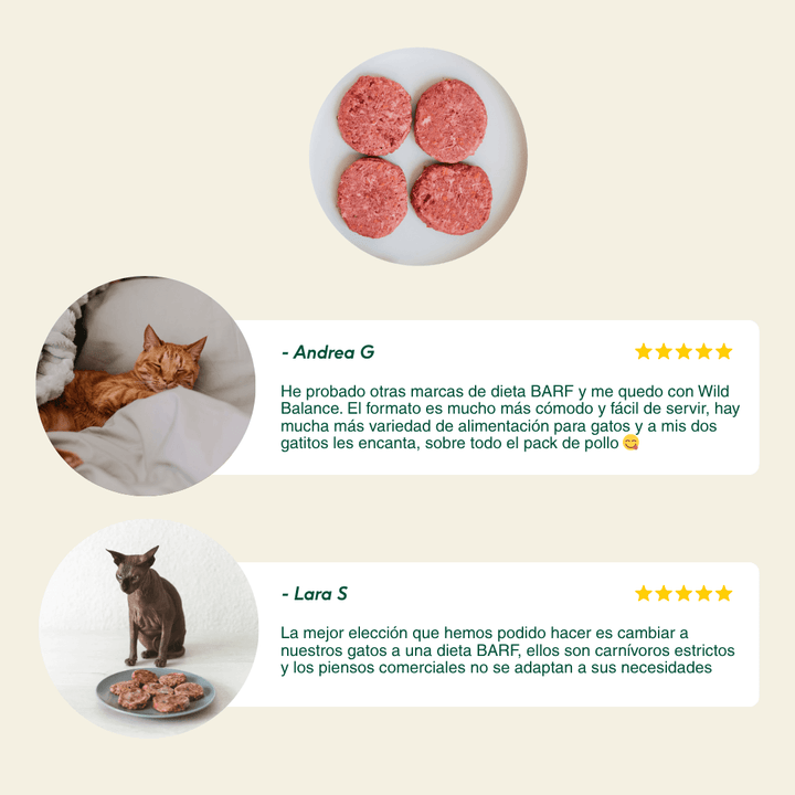 menu BARF de ternera y verduras para gatos