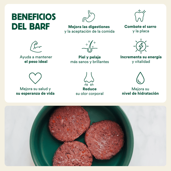 pack de iniciación al BARF para gatos