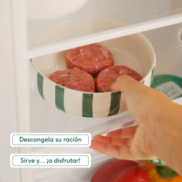 pack de iniciación al BARF para gatos