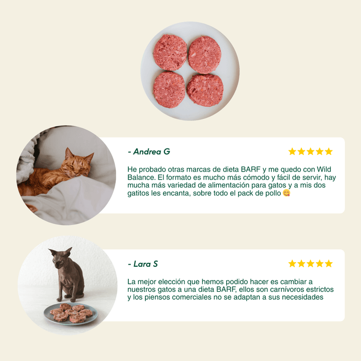 pack de iniciación al BARF para gatos
