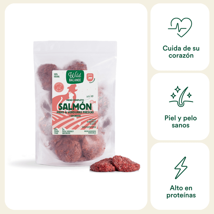 menú barf de salmón y pavo para gatos