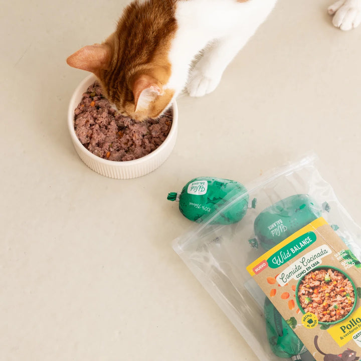 comida cocinada de pollo con verduras para gatos