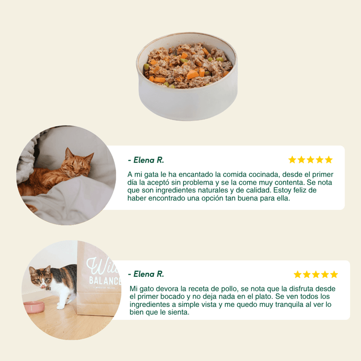 comida cocinada de pollo con verduras para gatos