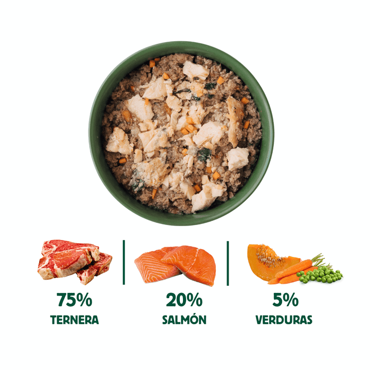 comida cocinada de salmón con ternera para gatos