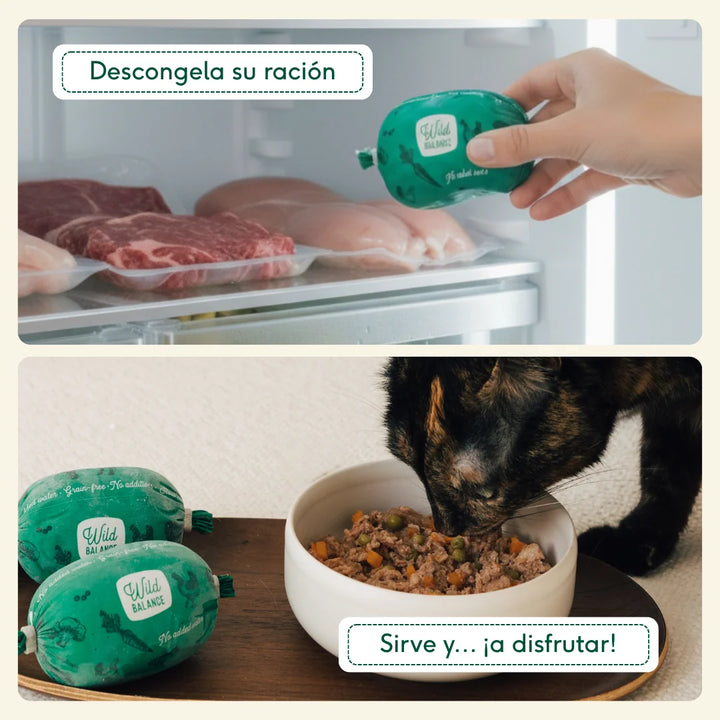 comida cocinada de salmón con ternera para gatos