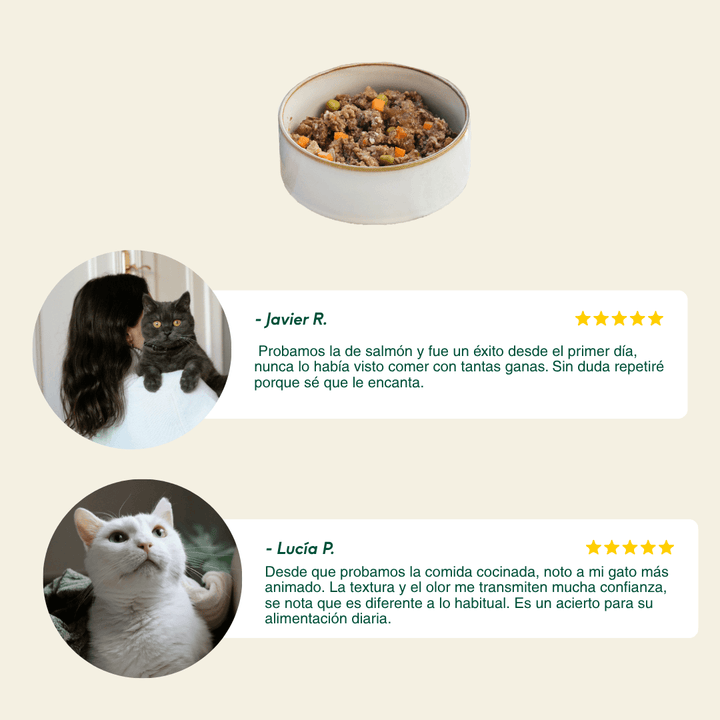 comida cocinada de salmón con ternera para gatos