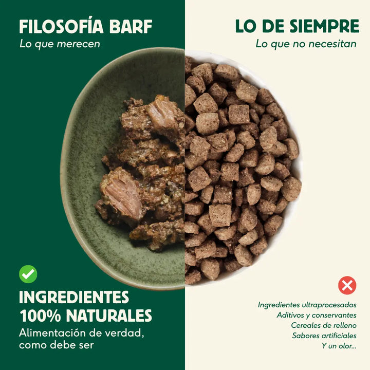 Lata Navidad para gatos