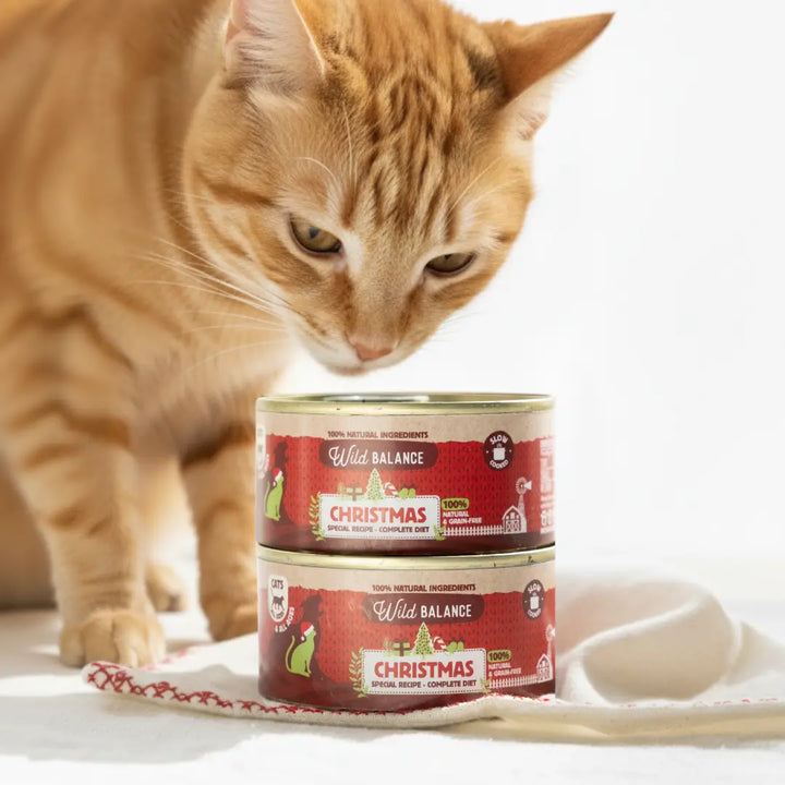 Lata Navidad para gatos