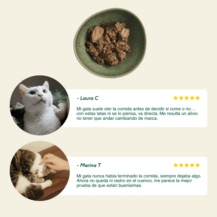 Lata Navidad para gatos