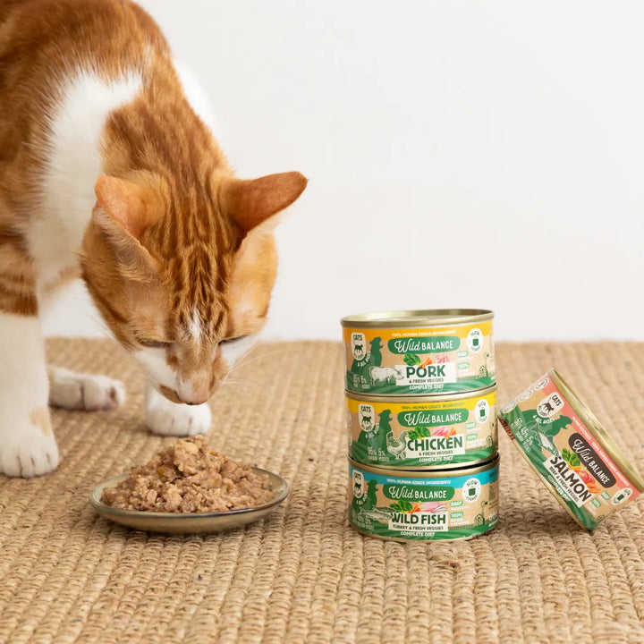 latas de filosofía BARF de pollo para gatos