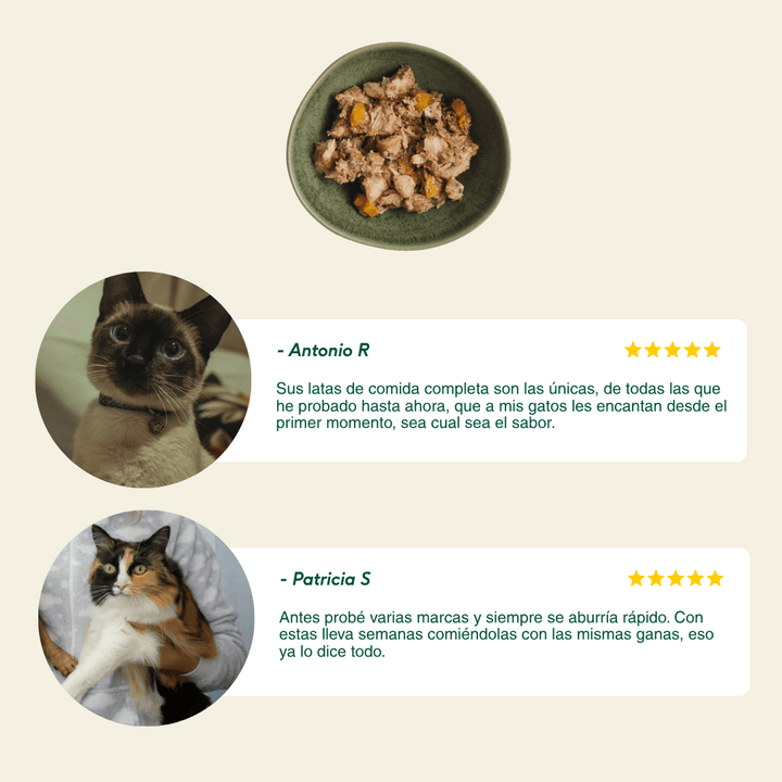 latas de filosofía BARF de pollo para gatos