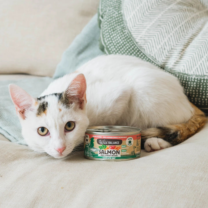 lata filosofía BARF de salmón para gatos