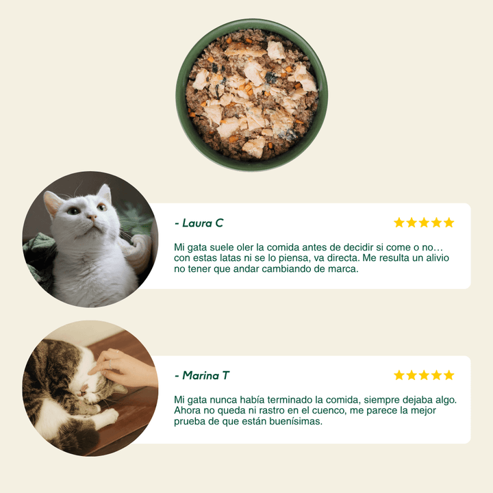 lata filosofía BARF de salmón para gatos