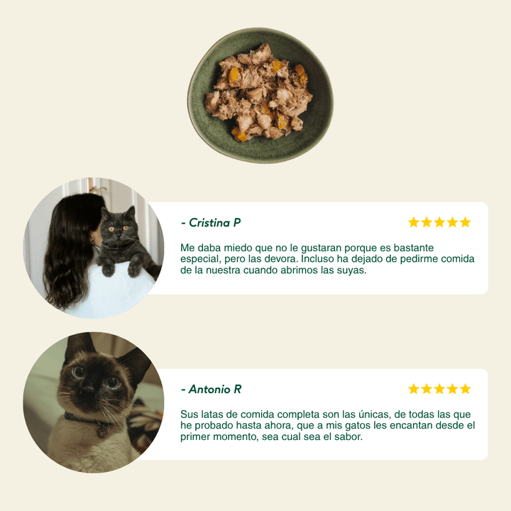 latas filosofía BARF Willd Fish para gatos