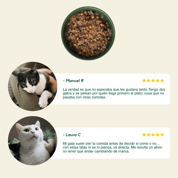 lata recetas del chef de estofado de mercado para gatos