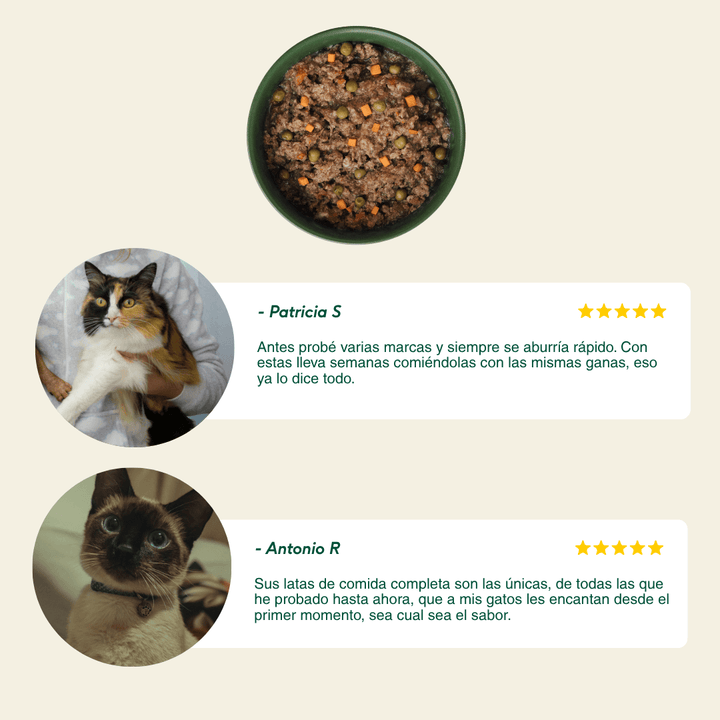 lata recetas del chef cazuela de pollo para gatos