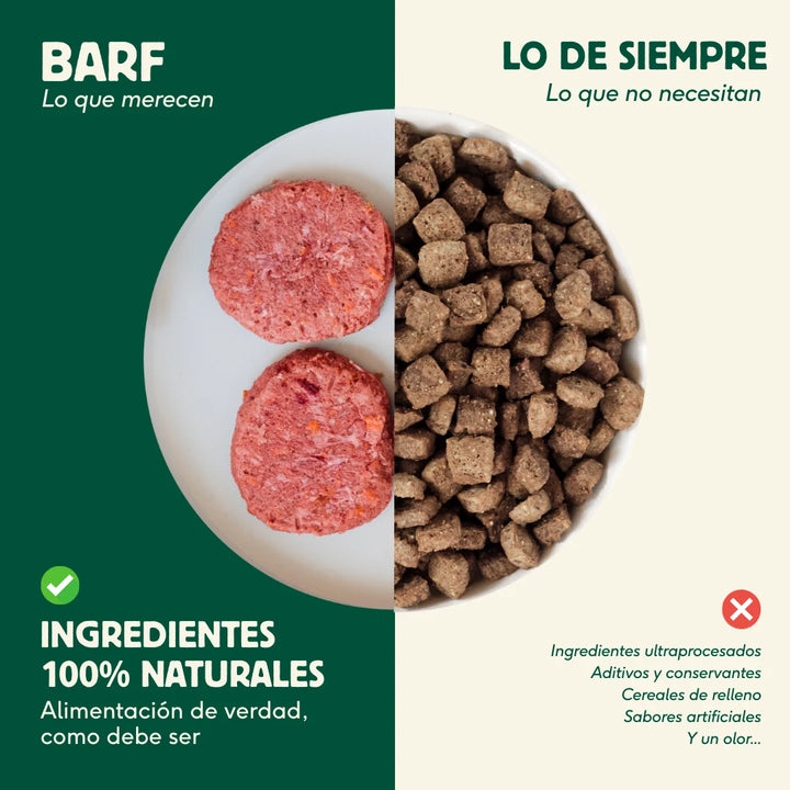 comparativa pienso vs barf