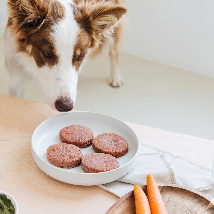 Menú BARF de Cordero con verduras frescas para perros