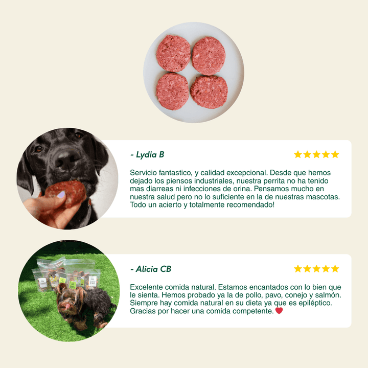 Menú pack de iniciación al BARF para perros