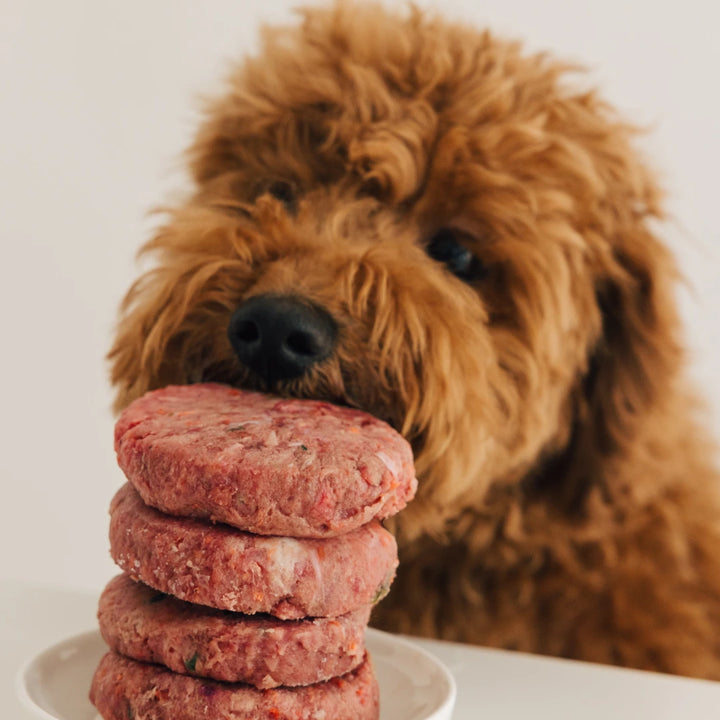 Menú BARF de pavo con verduras para perros