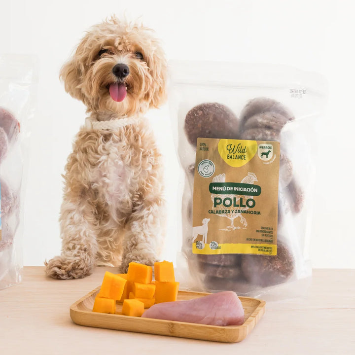 Menú BARF de pollo iniciación para perros