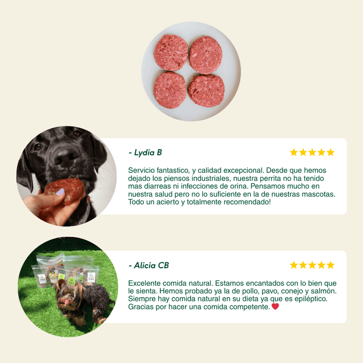 Menú BARF de pollo iniciación para perros